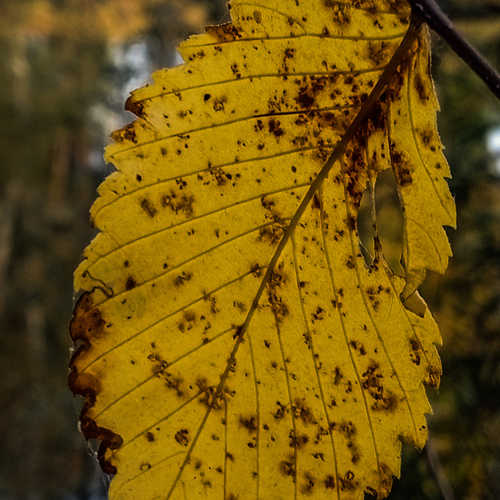 Photo #14135340