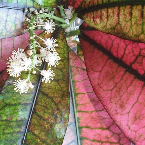 Photo #14135360