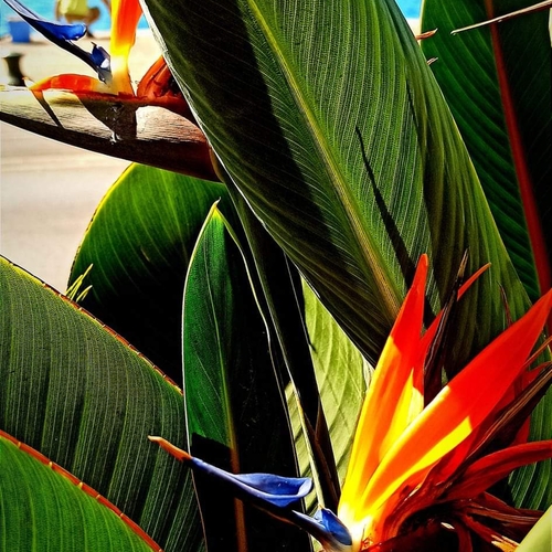 Photo #14135508