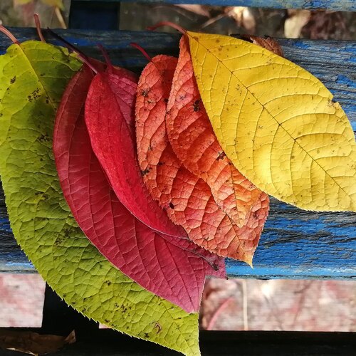 Photo #14135605