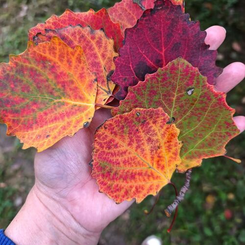 Photo #14135655