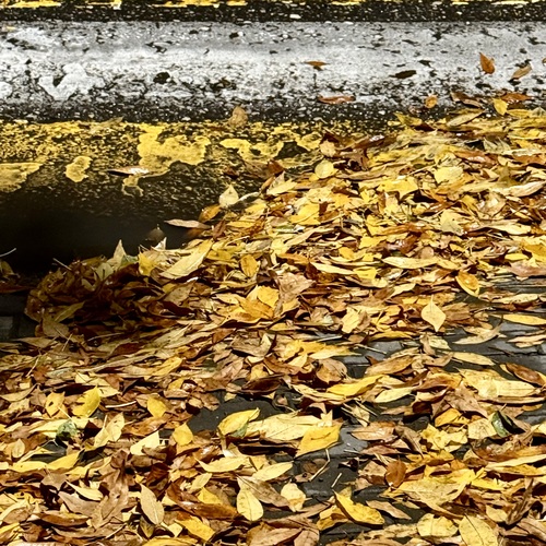 Photo #14135740