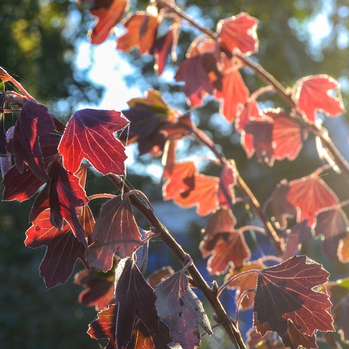 Photo #14135805