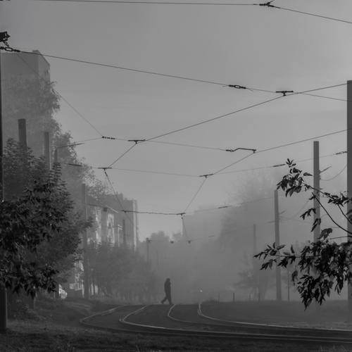 Photo #14135824