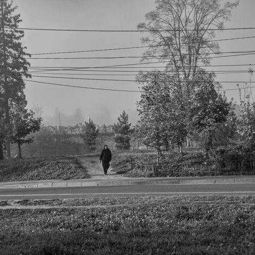Photo #14135825