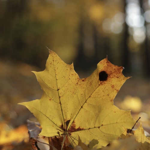 Photo #14135942