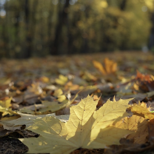 Photo #14135943