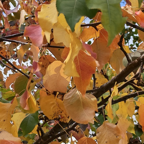 Photo #14135979