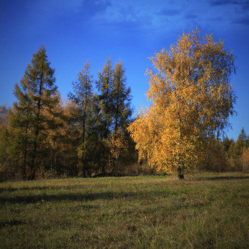Photo #14136224