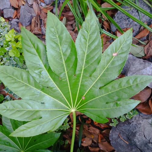 Photo #14136226