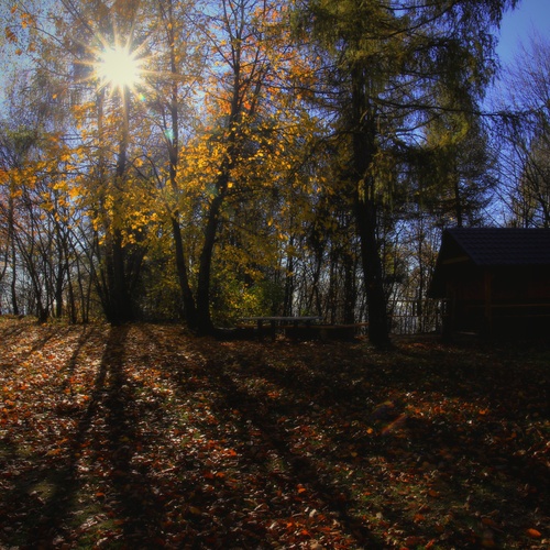 Photo #14136228