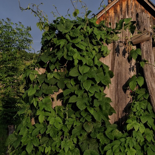Photo #14136357