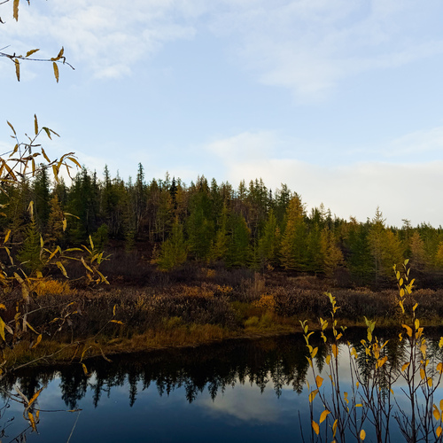 Photo #14136405
