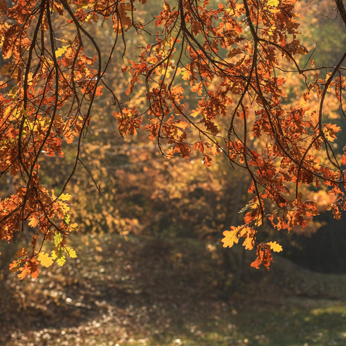 Photo #14136416