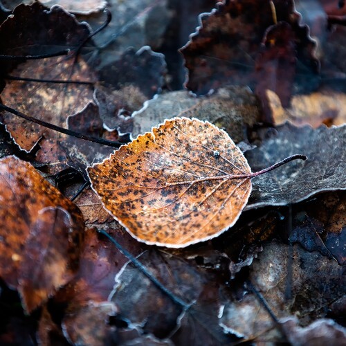 Photo #14136448