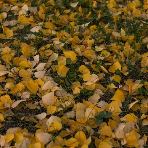 Photo #14136494
