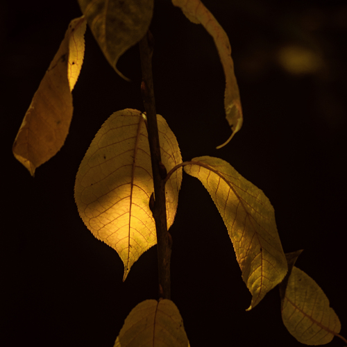 Photo #14136503