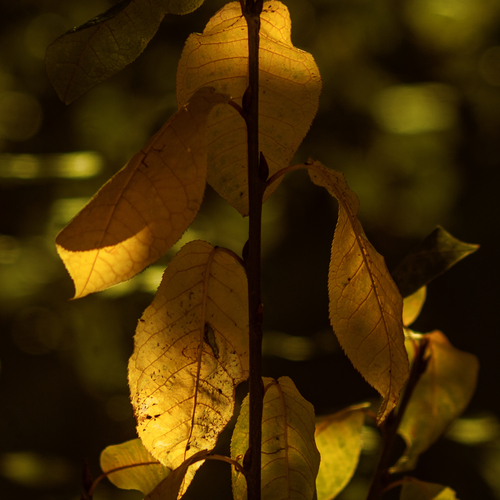 Photo #14136504