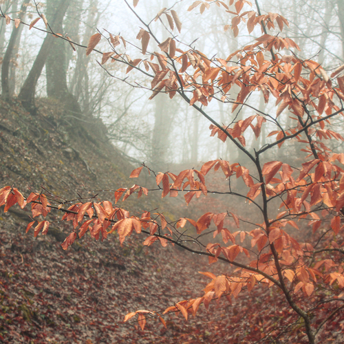 Photo #14136542