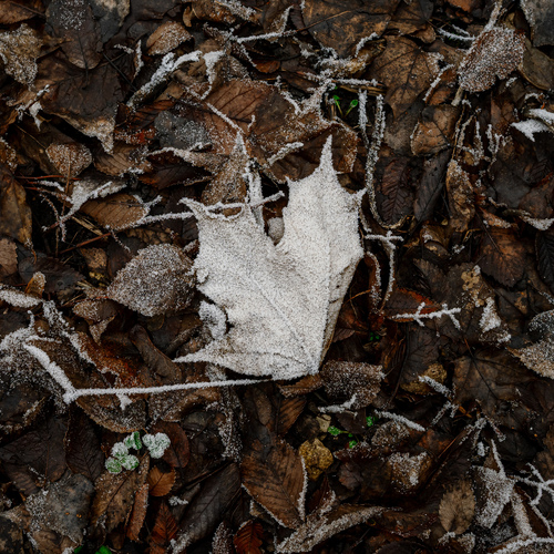 Photo #14136603