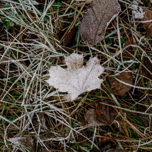Photo #14136608