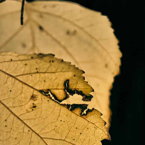 Photo #14136617