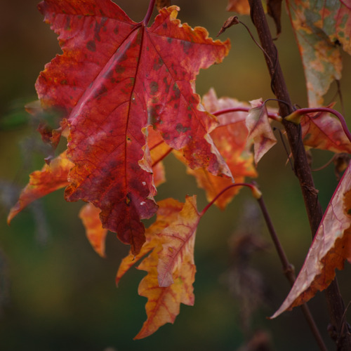 Photo #14136628