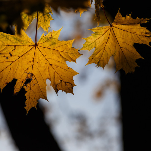 Photo #14136631