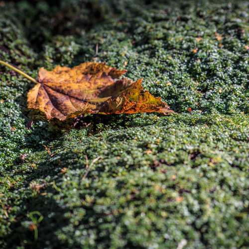 Photo #14136633