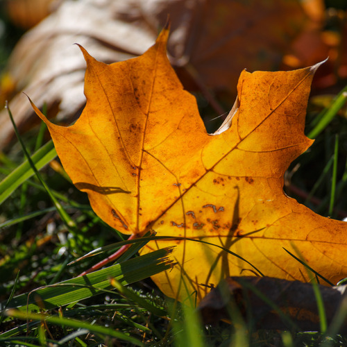 Photo #14136634