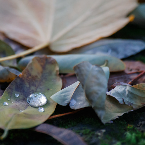 Photo #14136635