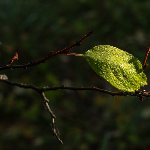 Photo #14136659