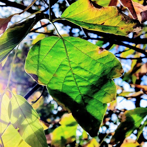 Photo #14136696
