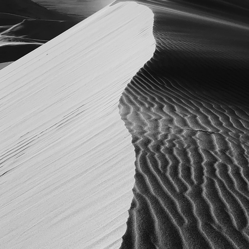 Photo #14136716