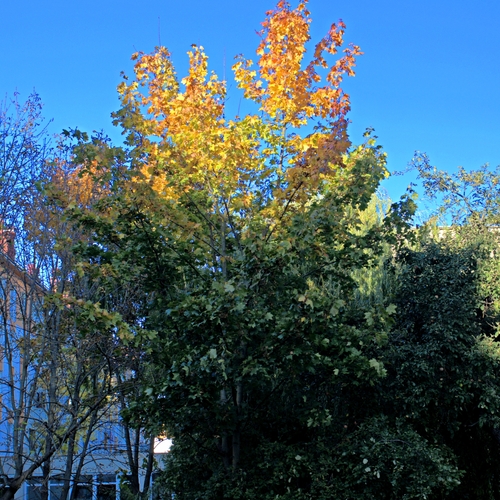 Photo #14136733