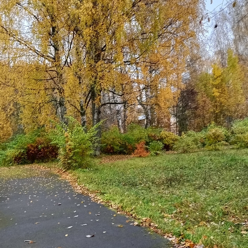 Photo #14136749