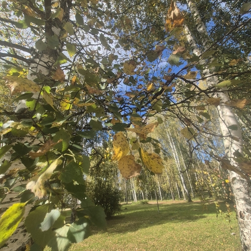 Photo #14136751