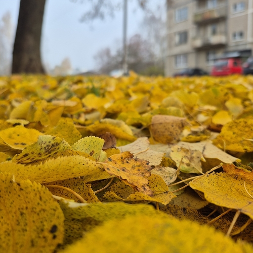 Photo #14136752