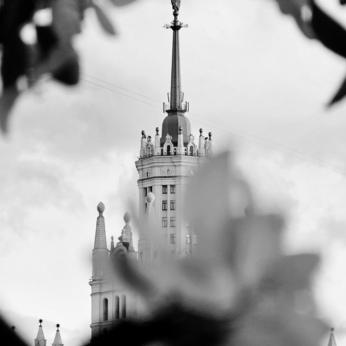 Photo #14136900