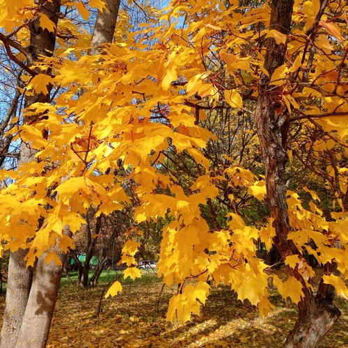 Photo #14136983