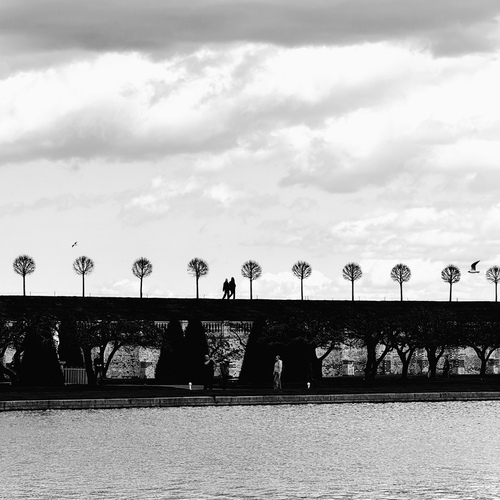 Photo #14137009
