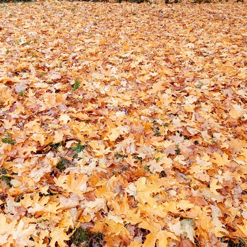Photo #14137022