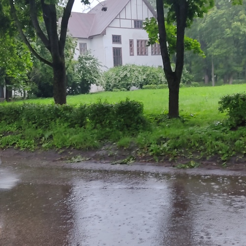 Летний дождь.