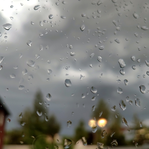 Photo #14137255