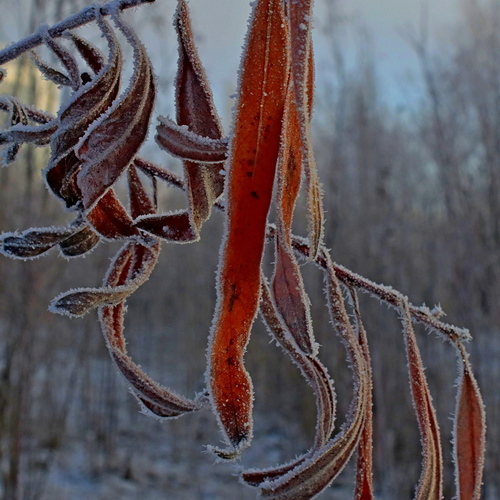 Photo #14137263