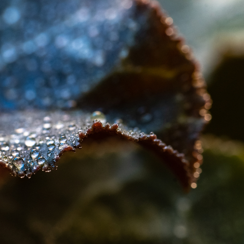 Photo #14137275