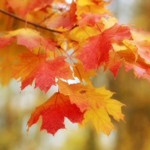 Photo #14137383