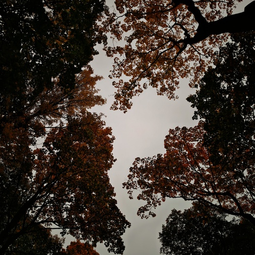 Photo #14137417