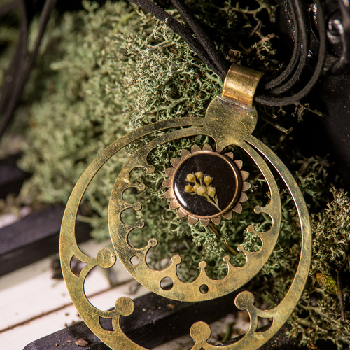 Photo #14137529