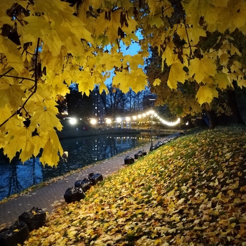 Photo #14137769